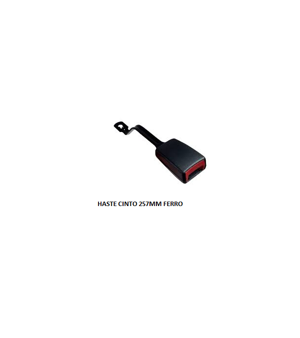 HASTE CINTO 257MM FERRO