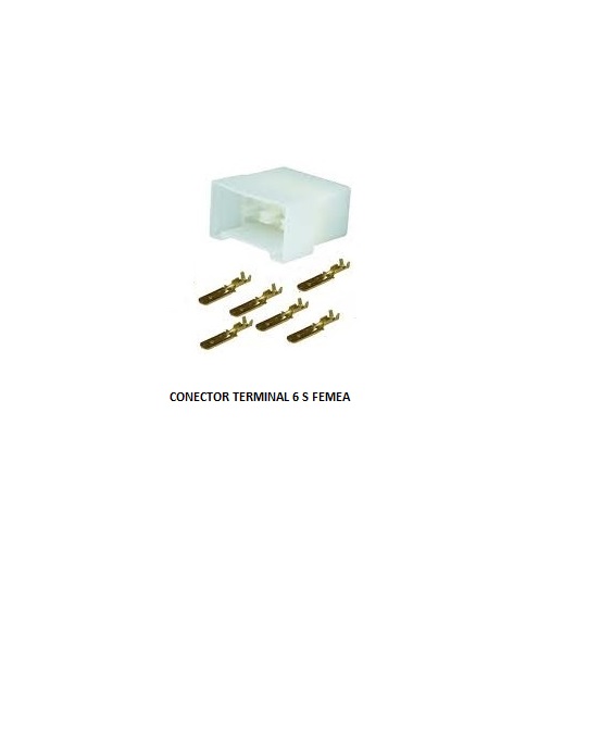 CONECTOR TERMINAL 6 VIAS FEMEA P/TER/MACHO