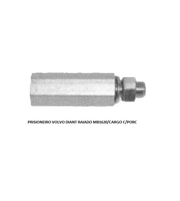 PRISIONEIRO VOLVO DIANT RAIADO MB1620/CARGO C/PORC CURTO